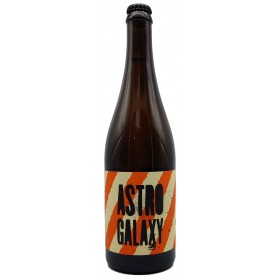 Cyclic Beer Farm Astro Galaxy