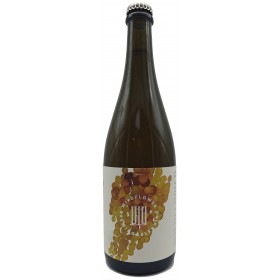 WildFlower St Florence 2025