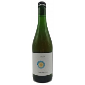 Métaphore Colosseum of Life (Blend no. 3)