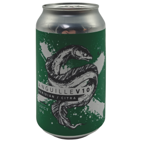 La Source Anguille V10