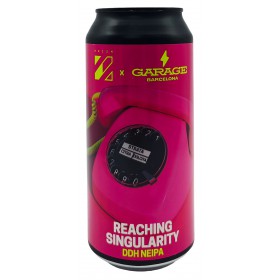 Prizm / Garage Reaching Singularity