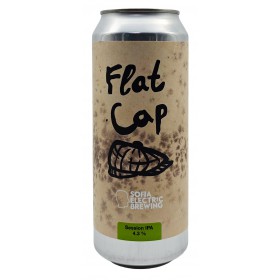 Sofia Electric Flat Cap