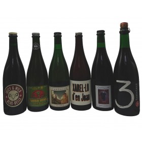 Grape Lambic / Wild Ale Selection July 2026 Pack (6x75cl)