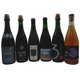 Vintage Fruited Lambic Selection Pack II (6x75cl)