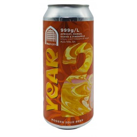 Vault City Year 2 - 999g/L Apricot, Mango, Guava and Pineapple